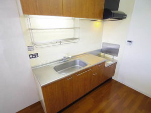 K’s court soleil 0406号-8