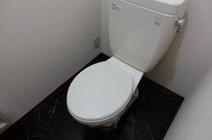 グレースメゾン小柳 G102号-14