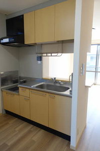 グレースメゾン小柳 H201号-3