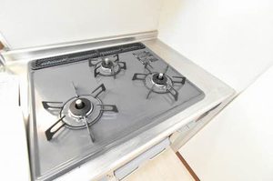 メグミハイツⅠ A103号-13