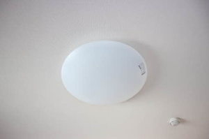 アネモネＡ 0202号-2