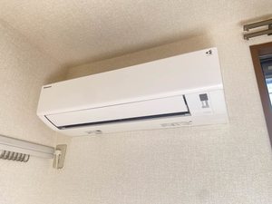 ラフィネＮＡＷＡ C101号-8