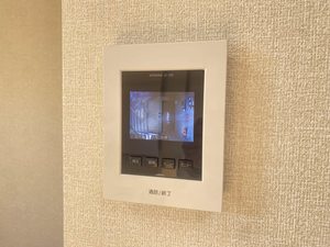 ラフィネＮＡＷＡ C101号-9