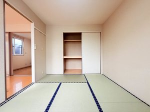 エバーグリーン B201号-8