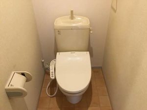 フェニックス宝 C201号-10