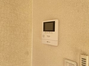 プランタントキワ A202号-10