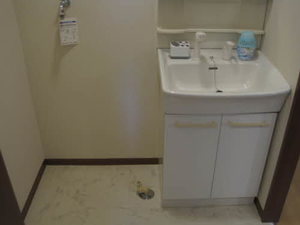 ルーストけやき 0103号-9