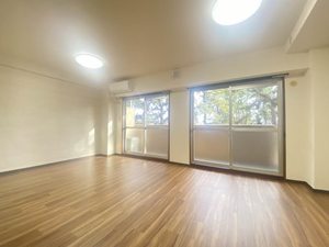 セントクレアージュ 0203号-2