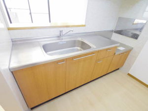 ストークマンション 0103号-5
