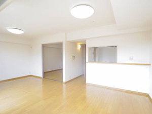 ストークマンション 0502号-1