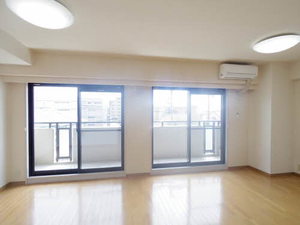 ストークマンション 0502号-3