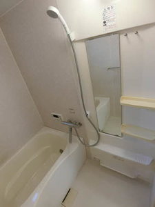 グランシャリオ岩野 0101号-10