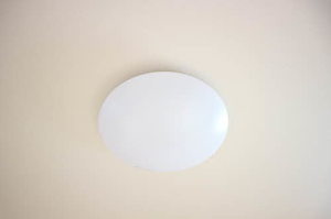 ラフィーネ 0103号-4