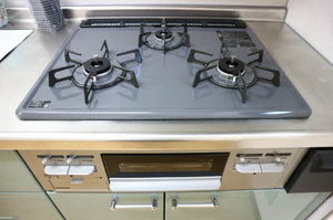 フェリーチェ 0102号-10