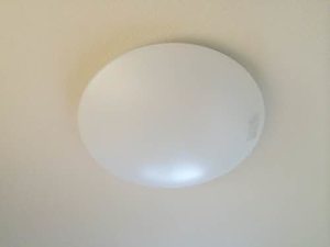 メヌエット 0201号-13