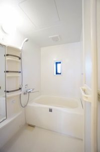 ステラ B201号-12