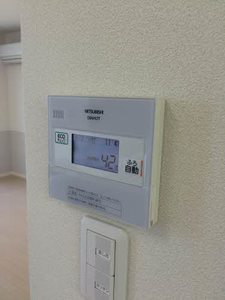 ルミナス和合 0201号-9