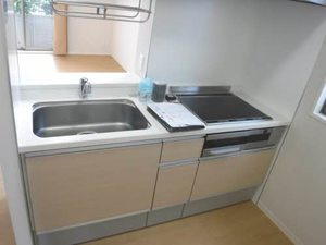 サウス　ヴィラージュ 0101号-10