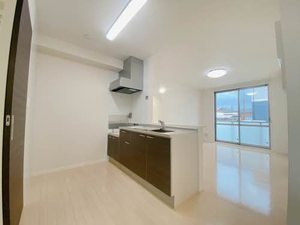 カーティアスC 0102号-6