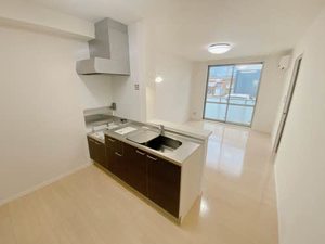 カーティアスC 0102号-13