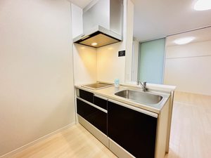 ミッドパレス 0101号-4