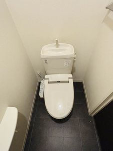 ミッドパレス 0202号-12