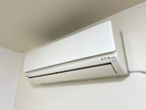 Ｇｒｕｎｅｓ A101号-12