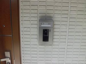 スノードロップ A201号-2