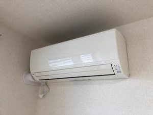 メゾンドボニート 0201号-9