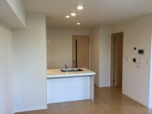 メゾン　ドゥ　ソレイ 0102号-3