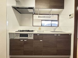 リンカンズベール 0204号-11