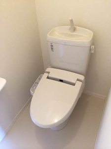 Ｌｕｍｉｕｓ A303号-4