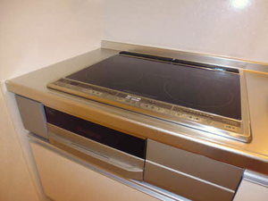 ラ・ヴィータ堀川本郷 B205号-3