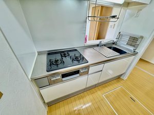 アネモス B102号-4