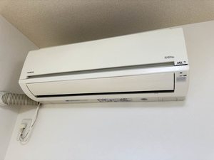 アネモス B102号-12