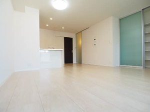 フェリーチェⅠ 0102号-6