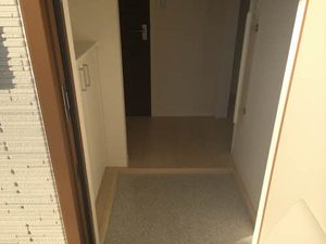 フェリーチェⅡ 0202号-3