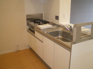 ・コンフォート・ドミール 0202号-5