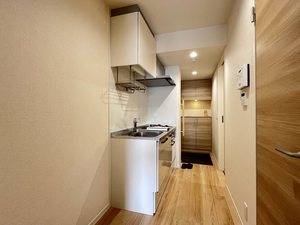 ブルーシャインＭＪ 0101号-8