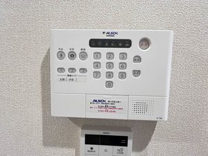 ブルーシャインＭＪ 0101号-10