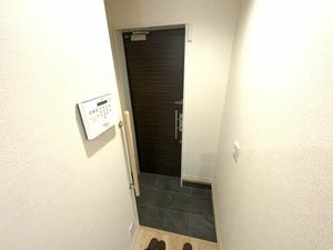 ブルーシャインＭＪ 0107号-10