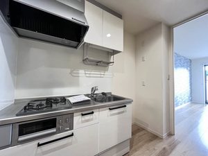 ブルーシャインMJ 0112号-8