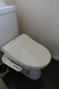 ドミール福寿 0202号-9