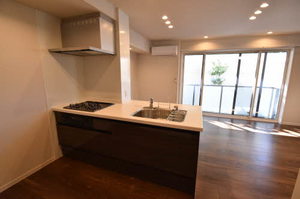 Ａｓｔｅｒｉａ　Ｇａｒｄｅｎ　Ｄｕｏ 0103号-3