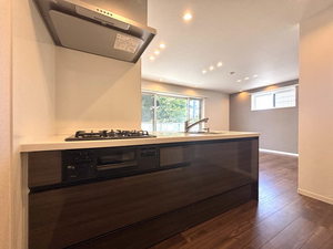 Ａｓｔｅｒｉａ　Ｇａｒｄｅｎ　Ｄｕｏ 0203号-6