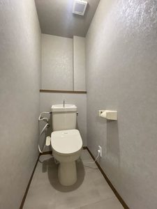 ヴィラミズリーケン 0203号-7