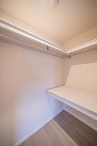 ヴィオレッタ 0301号-9