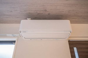 ヴィオレッタ 0301号-11