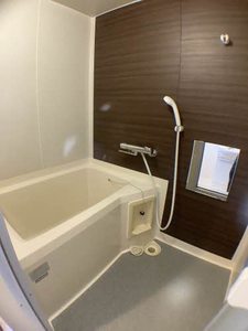 グリーンパーク棚橋 B102号-11