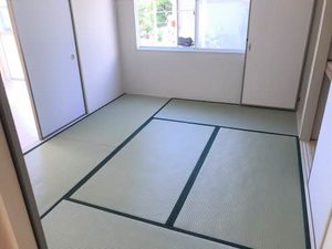 フレグランスグリーン 0101号-6